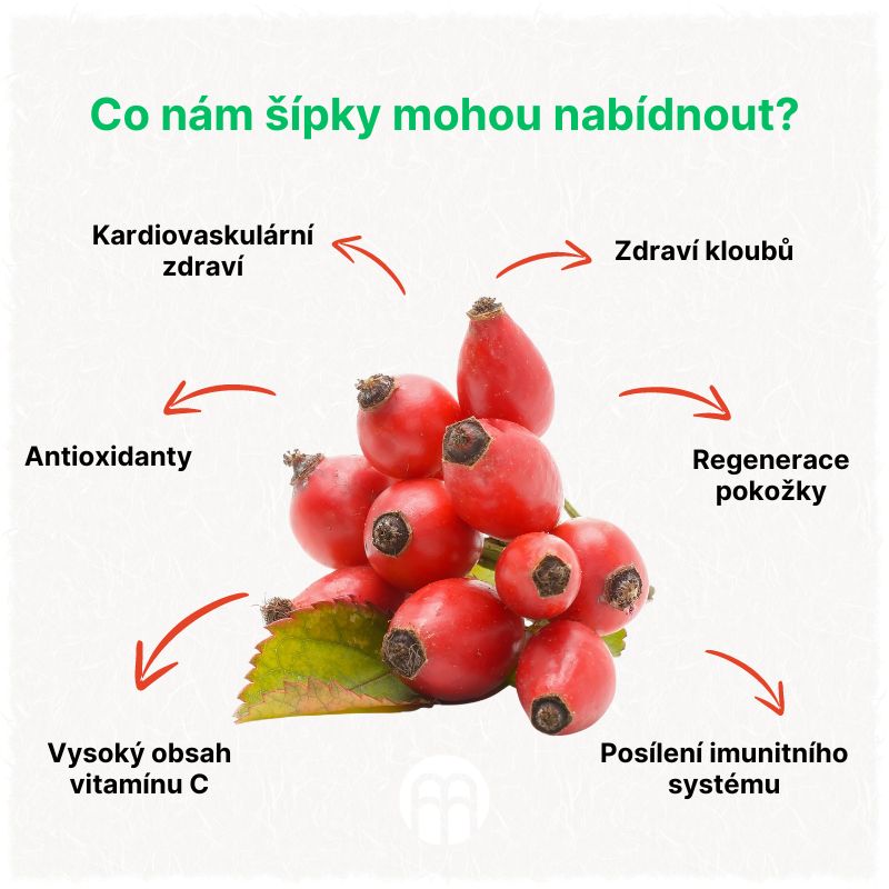Co nám šípky mohou nabídnout